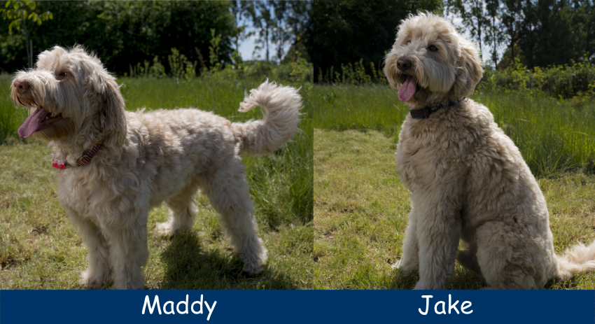 maddy jake 2025